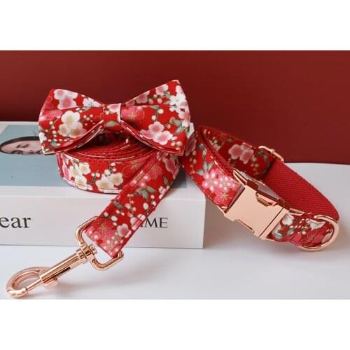 Dog Leash and Collar Set Exceptionally Elegant and Adjustable in Different Lengths Perfect for Medium to Large Dog engraved name