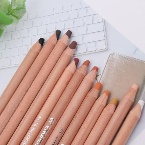 12 Colors Skin Tone Pastel Pencils, 4B 5mm Core, Colored Pencils for Artist Drawing, Sketching, Portrait / Landscape Type