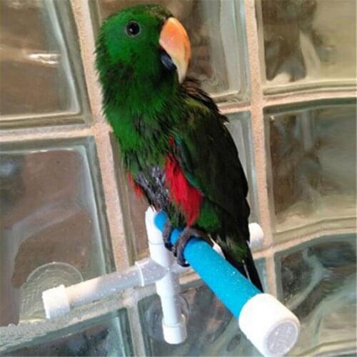 Sucking Disc Bird Parrot Bathing Shower Standing Bar Dual Stick Bracket Pet Toy 2021