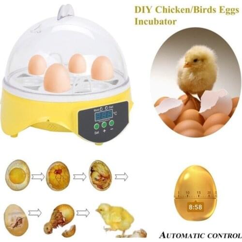 110V/220V Eggs Incubator Brood Machine Duck Egg Hatcher Electronic Automatic Incubator Pigeon Quail Goose Birds Incubation Tools