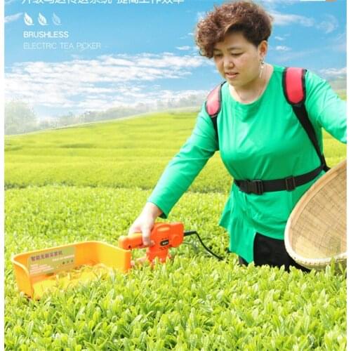 Portable electric small tea picking machine tea picking machine single portable new tea tree trimmer