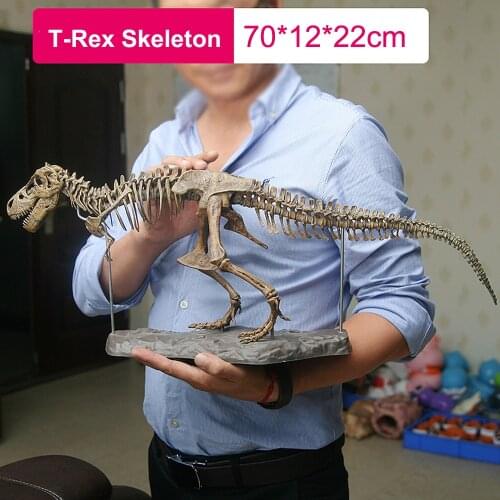 4D Animal Model Toys Simulation Large Dinosaur Fossil Tyrannosaurus Assemble the skeleton model Toys Home Decoration