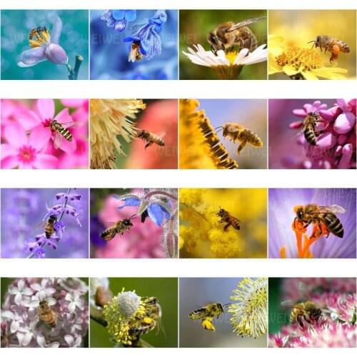 5D Diamond Bee DIY Diamond Embroidery Rhinestones Mosaic Insect Picking Nectar Full Drill Square Art Painting Cross Stitch Decor