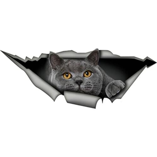 Dawasaru British Shorthair Funny Cat Car Sticker Gray Cat Decal Waterproof 3D Car Styling Stickers Decoration PVC,15cm*6cm