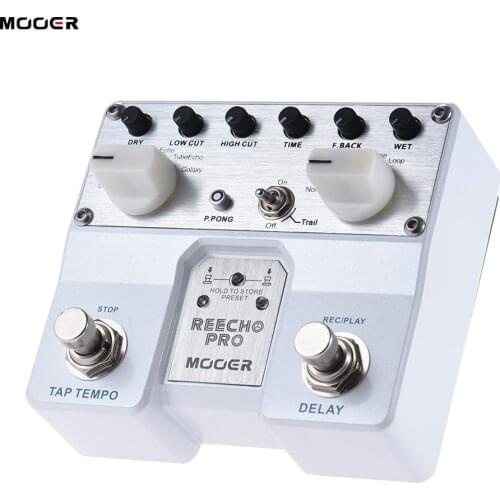 MOOER Reecho Pro Digital Delay Guitar Effect Pedal Twin Footswitch with 6 Delay Effects Loop Recording (20 Seconds) Function