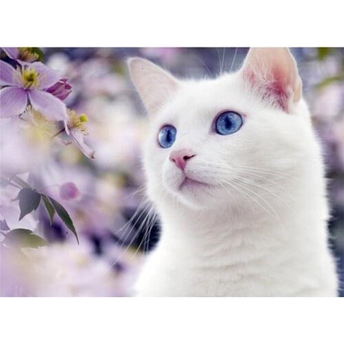 Yujohom 5D DIY Diamond Painting White Cat Diamond Embroidery Cute Kitten Full Drill Picture of Rhinestone Mosaic Flower Crafts