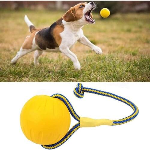 EVA Floating Dog Cat Toys Floating Pet Ball Puppy Bite Resistant Ball With Rope Pull Ring Pet Dogs Training Balls Gnawing Toy