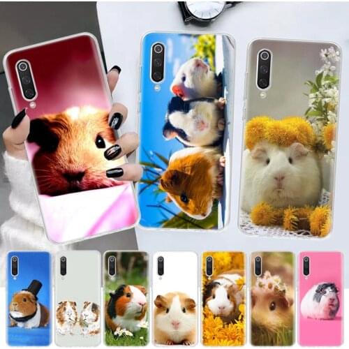 Guinea Pig Cute Animal Pet Blue Soft Cover Phone Case For Xiaomi Note 10 Mi 11 9 8 CC9 9T 10T A1 A2 A3 F1 F2 X3 NFC Pro Lite 5X
