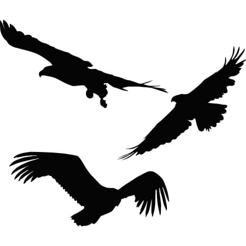 AZSG Soaring eagle Clear Stamps For DIY Scrapbooking Decorative Card making Craft Fun Decoration Supplies 10*10cm