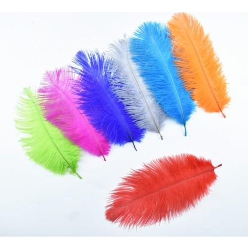 10Pcs/Lot Dyed Elegant Ostrich Feather Plumes 15-20CM Natural Feathers for Crafts Handwork Wedding Plume Decoration Accessories