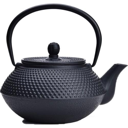 Chinese Kung Fu Tea Set Cast Iron Teapot enamel Good Health Nautral Healthy Gift Japanses Style tea copo