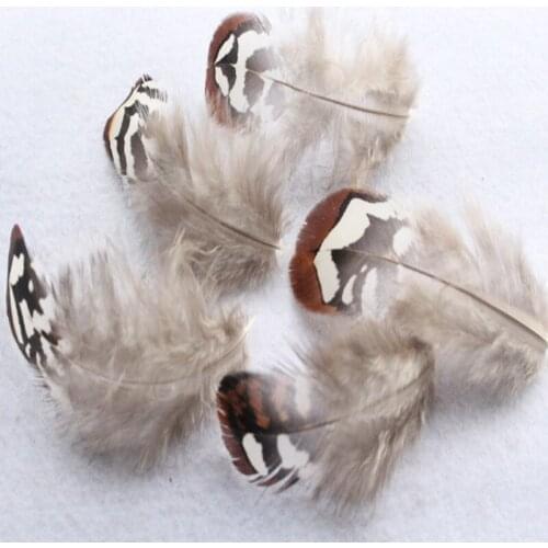 New Wholesale 10 pcs Natural Pheasant Feathers 5-10 cm DIY Jewelry Clothing Hat Christmas Holiday Decoration