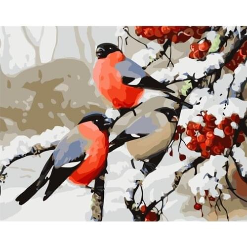 Painting By Numbers DIY Dropshipping 40x50 50x65cm Red fruit Little bird Animal Canvas Wedding Decoration Art picture Gift