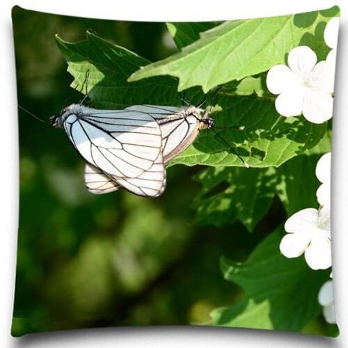 White Butterfly Square Cushion Cover For Sofa Decorative Cotton/Polyester Sofa Decor Couch 45*45 cm Without Filling