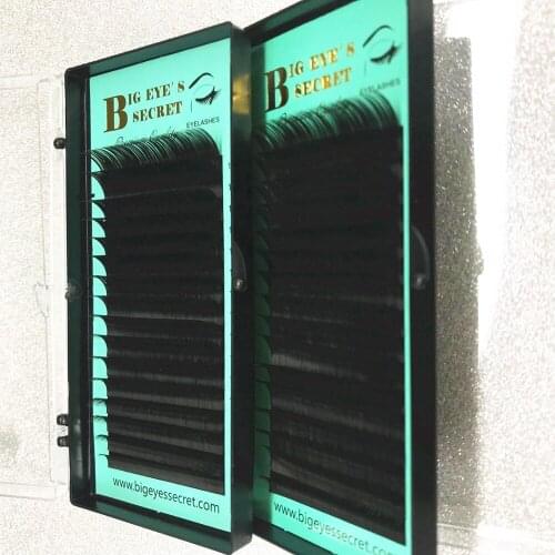 Premade FANS Cashmere South Korean Silk 1 Tray Individual Eyelashes Extension Customize Logo Classic Lashes FreeShipping