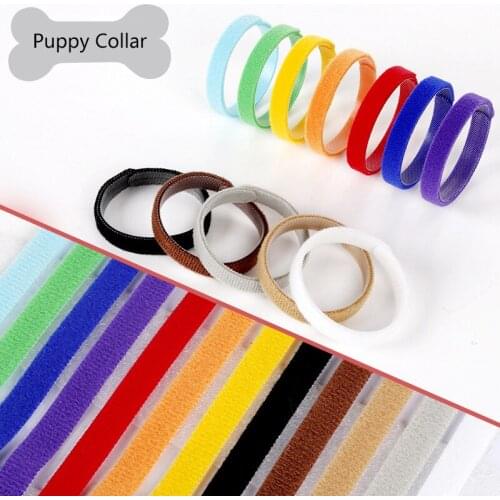 Cute 12 Colors / Pack Pet ID Collars Nylon Adjustable Length Solid Dogs Collar for Small dog Puppy and Kitten Distinguish pets