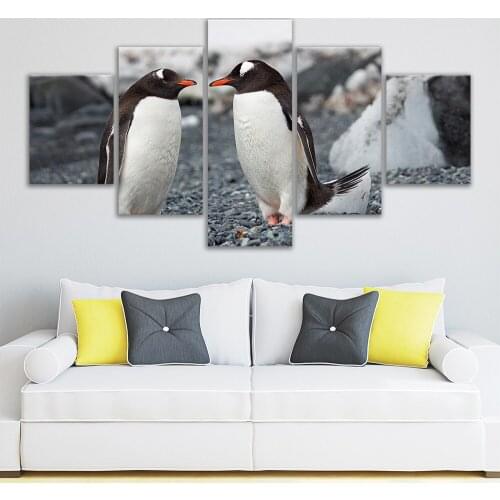 5 Pieces of Animal Photography Modern Decoration Paintings Cute Cat Penguin Living Room Canvas Painting Frameless Painting Core