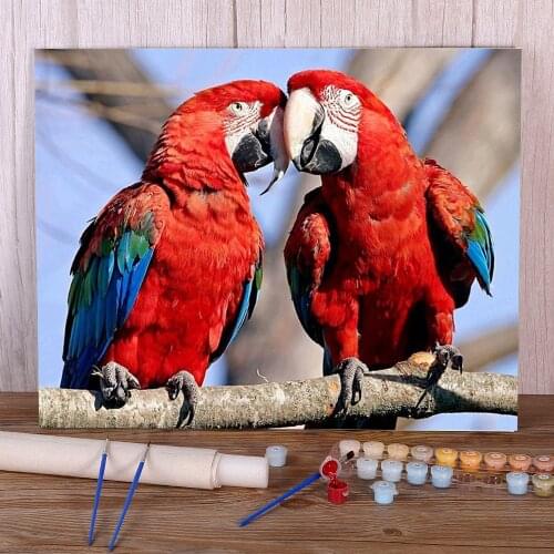 Parrot Bird Animal Coloring By Numbers Painting Set Oil Paints 40*50 Canvas Painting Loft Wall Picture For Kids Handiwork