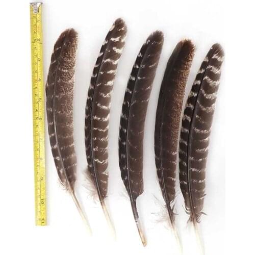 Beautiful 100pcs/lot Turkey Feathers 23-28cm Craft Home Wedding Accessories Celebration DIY Plume