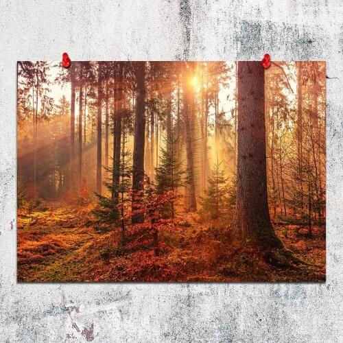 Canvas Painting Orange Autumn Forest Posters and Prints Wall Art Picture for Living Room Decor No Frame
