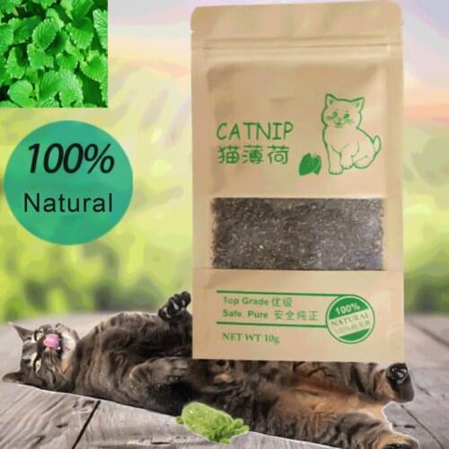 10g Catnip All-natural No Artificial High Quality Mint Healthy Cats Grass Snacks Catnip Funny Cat Toys for Cats Food Pet Supply