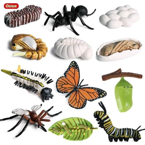 Oenux 12PCS Insect Growth Cycle Animals Model Butterfly Ant Mosquito Action Figures Figurine Miniature Educational Toy For Kids