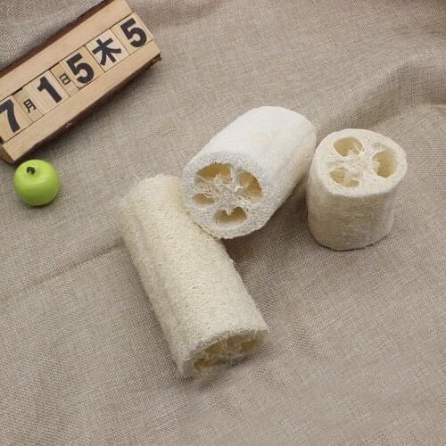TEAEGG Natural Body Brushes