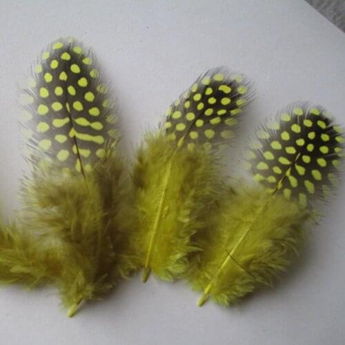 Wholesale 20pcs / lot beautiful yellow guinea fowl feathers 2-3 inches / 5-8 cm beautiful dot pattern pearl feather