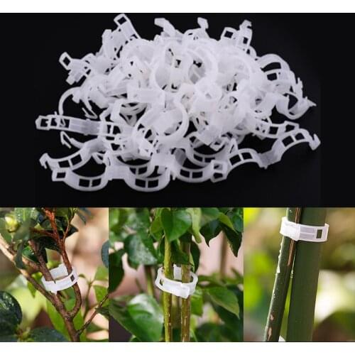 Greenhouse Plant Fixing Clips Garden Plants Flowers Tied Bundle Branch Clip Clamping Tools Garden Supplies Plant Clips 50 Pcs