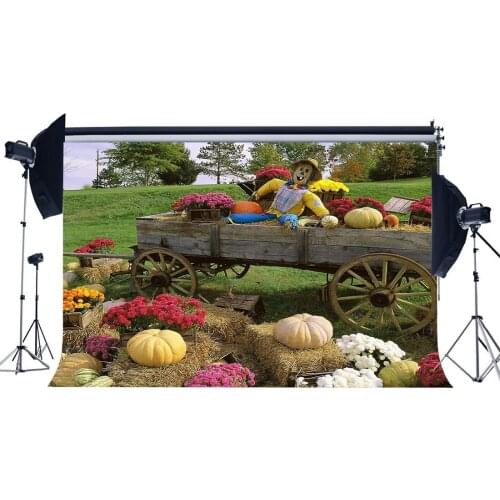 Autumn Harvest Backdrop Pumpkin Scarecrow Straw Haystack Vintage Farm Car Fresh Flowers Jungle Background