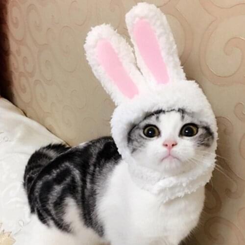 Pet Cotton Head Wear Pure Color Portable Elastic Head Wear Hood Hat For Protection Furry Cute Decorations Go Out Indoor Pendant