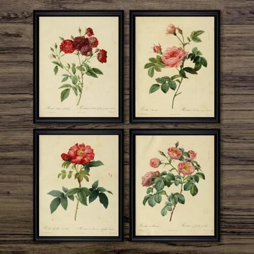 Antique Plants Illustrations Posters Vintage Botanical Prints Decor Wall Art Pictures Rose Flower Painting Kraft paper
