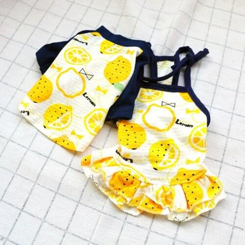 Sweet Pet Dog Couple Wear Summer Cool Puppy Clothes for Small Dogs Poodle Pug Dress Vest Shirt Dog Clothing T-shirt Bitch Skirt