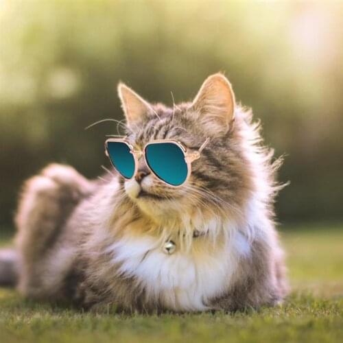 Cute Pet Cat Glasses Plastic Reflection Eye Wear Glasses For Small Dog Cat Sunglasses Pet Photos Props Shade Glasses