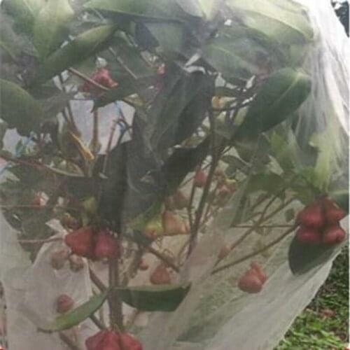 Fruit tree protection net Garden flowers Pest control net Plant protective cover Agriculture gardening Pest control net