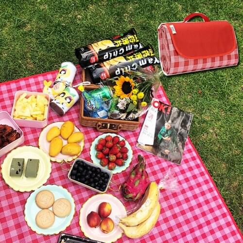 Thickened picnic mat cloth camping spring outing outdoor outing mat lawn portable waterproof and moisture-proof mat