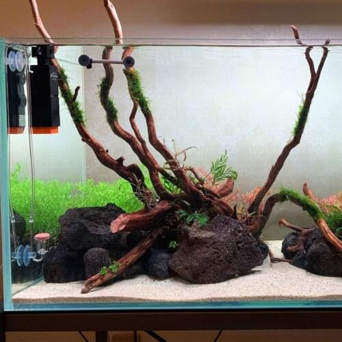 Aquarium CO2 Diffuser Dioxide Diffuser with U-Shape Connecting Tube Fish Tank Atomizer Supplies Equipment for Aquatic with