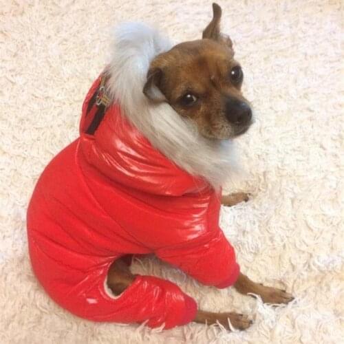 2020 Pets Dog Clothes Cotton Russia Winter Thicken Costumes Hoodies Clothes for Teddy Puppy Dogs Chihuahua Cotton Overcoat XXL