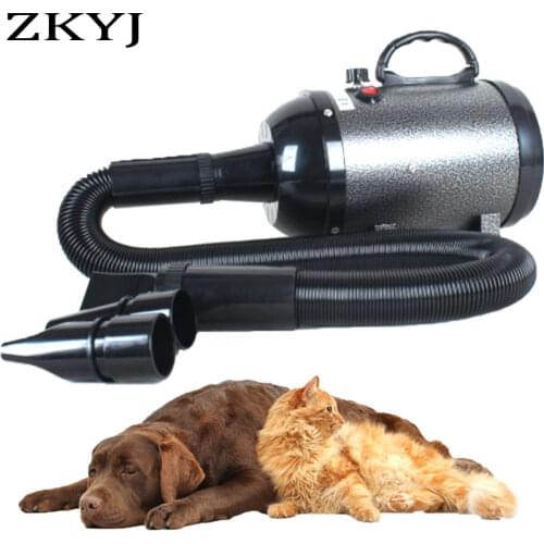 2-In-1Pet Dog Dryer Dog Hair Dryer And Comb Brush Pet Grooming Dryer Cat Hair Comb Three Gears Adjustable Dog Fur Blower