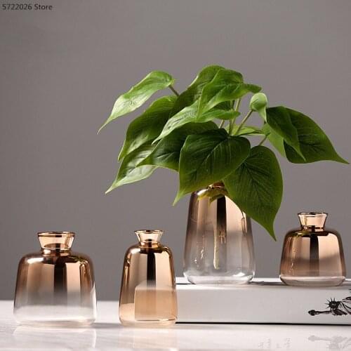 Modern minimalist glass vase/flower arrangement accessories/living room table decoration golden glass hydroponic mini vase