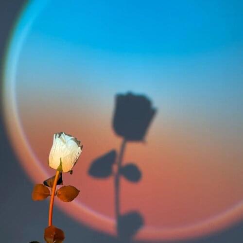 Beach Sunrise Lamp Led Night Light Spotlight Romantic Atmosphere Table Lamp for Home Bedroom Coffe shop Background Wall Decor