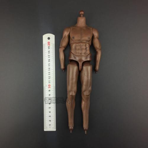 12 Inches Male Strong Bodies Brown Color For 1/6 Head Sculpt