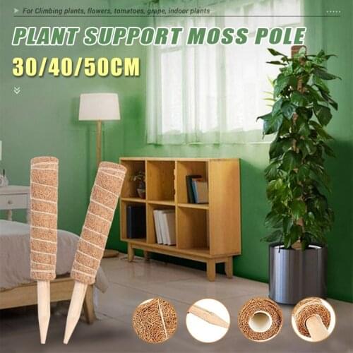 1PC 2PCS Coir Moss Totem Pole Indoor Plant Stand Moss Pole Extension Climbing Plants Creepers Gardening Flowers Stick 30/40/50cm