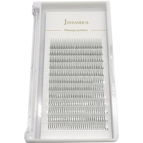 2d Fan Eyelashes Premade Volume Fans 12Rows Individual Lashes Pre made Fans Eyelash Extensions Beauty Products Manufacturer