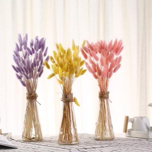 50 stems Colorful Rabbit Tail Grass Natural Dried Flower Bouquet Home Decoration Display Party Decorative Plants Shooting Props