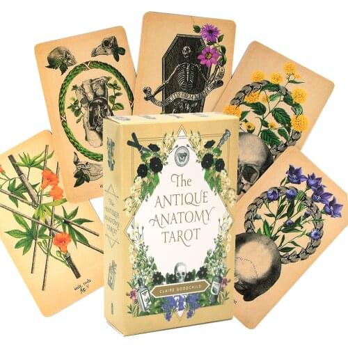 The Antique Anatomy Tarot Table Game Cards Mystical Shaman Oracle Moonology WitchesThe Wild Unknown Mystic Mondays