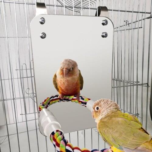 Pet Bird Parrot Biting Chewing Toys Cotton Rope Stand Toy Set with Stainless Steel Mirror Bird Toys