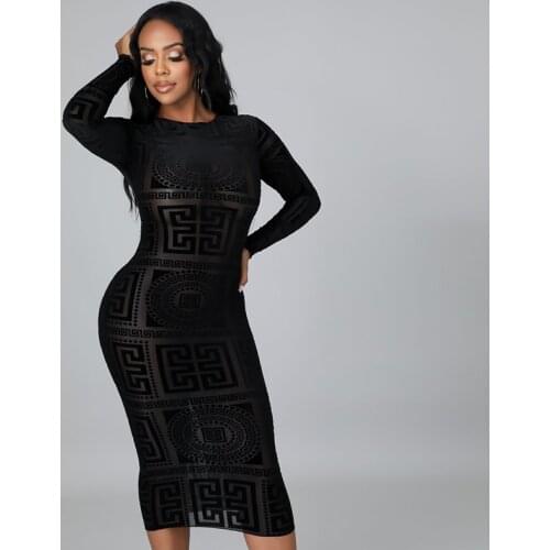 Transparant Printed Mesh Dress Women High Waist O Neck Long Sleeves Black High Stretch Sexy Skinny Mid Length Party Dresses 2021