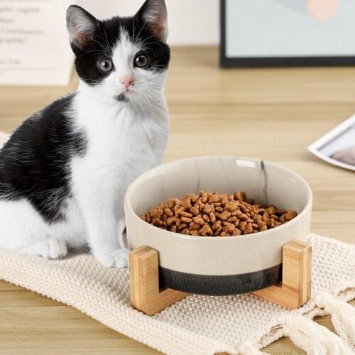 Ceramic Cat Dog Bowl Dish with Wood Stand No Spill Pet Food Water Feeder Cats Puppy Small Dogs Pet bowl Feeding Supplies