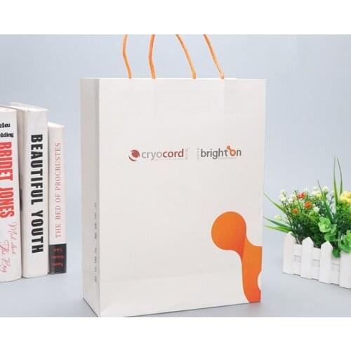 High quality Fashion Custom Paper Jewelry Packaging bag Laminated Art Paper Bag White With Company Logo Print --XP2030